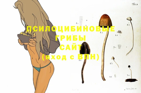 экстази Гусиноозёрск