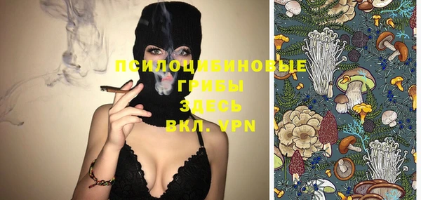 экстази Гусиноозёрск