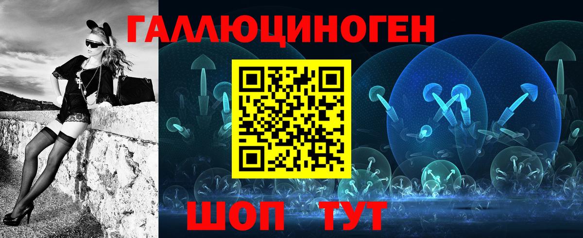 Ейск  Псилоцибиновые грибы Psilocybine cubensis  Вход с VPN 