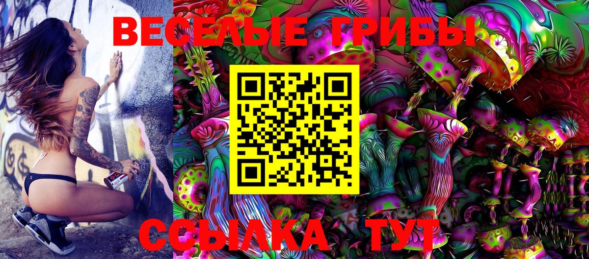 Псилоцибиновые грибы Psilocybine cubensis Ейск